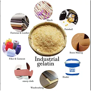 henan E-KING Food Grade Ingredients Halal Kosher gelatin Beef skin bone Gelatine 120 160 180 bloom
